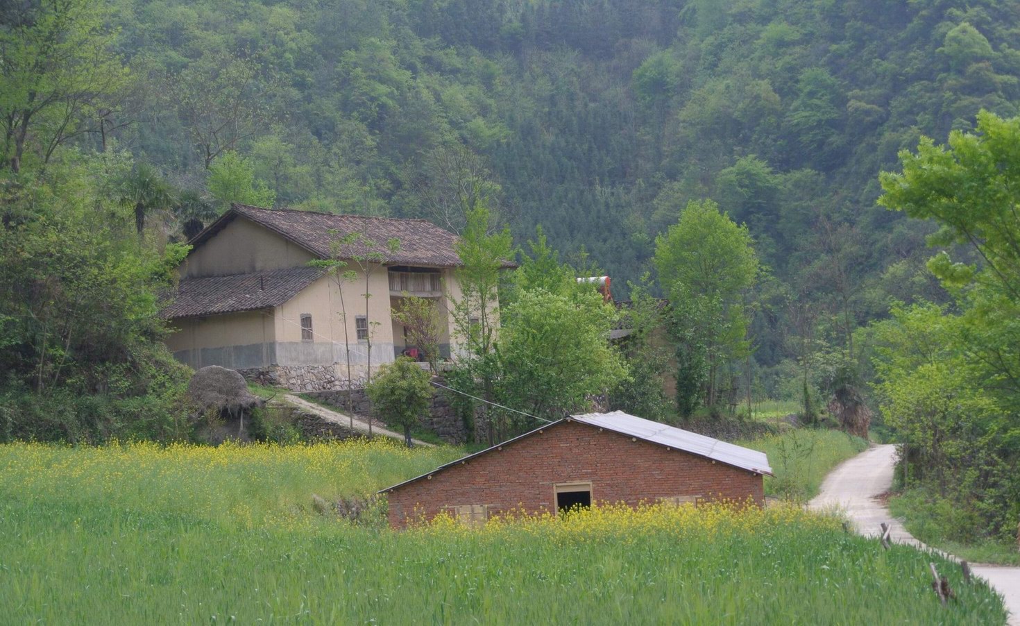 想到这里居住