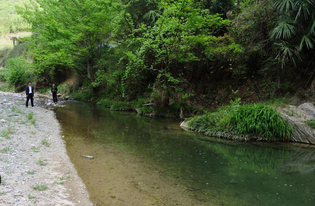 还是喜欢那河水