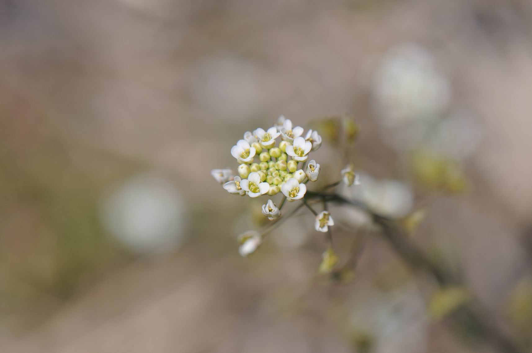 调整大小 DSC_0835.JPG