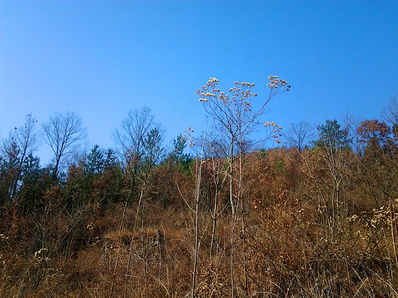 20131229_105745.jpg