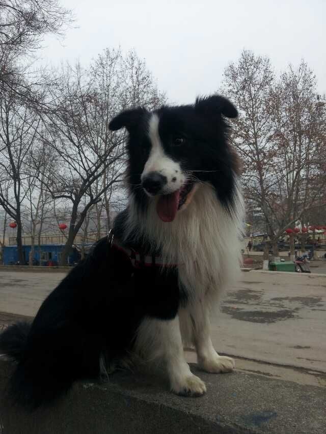 QQ图片20140312152832.jpg