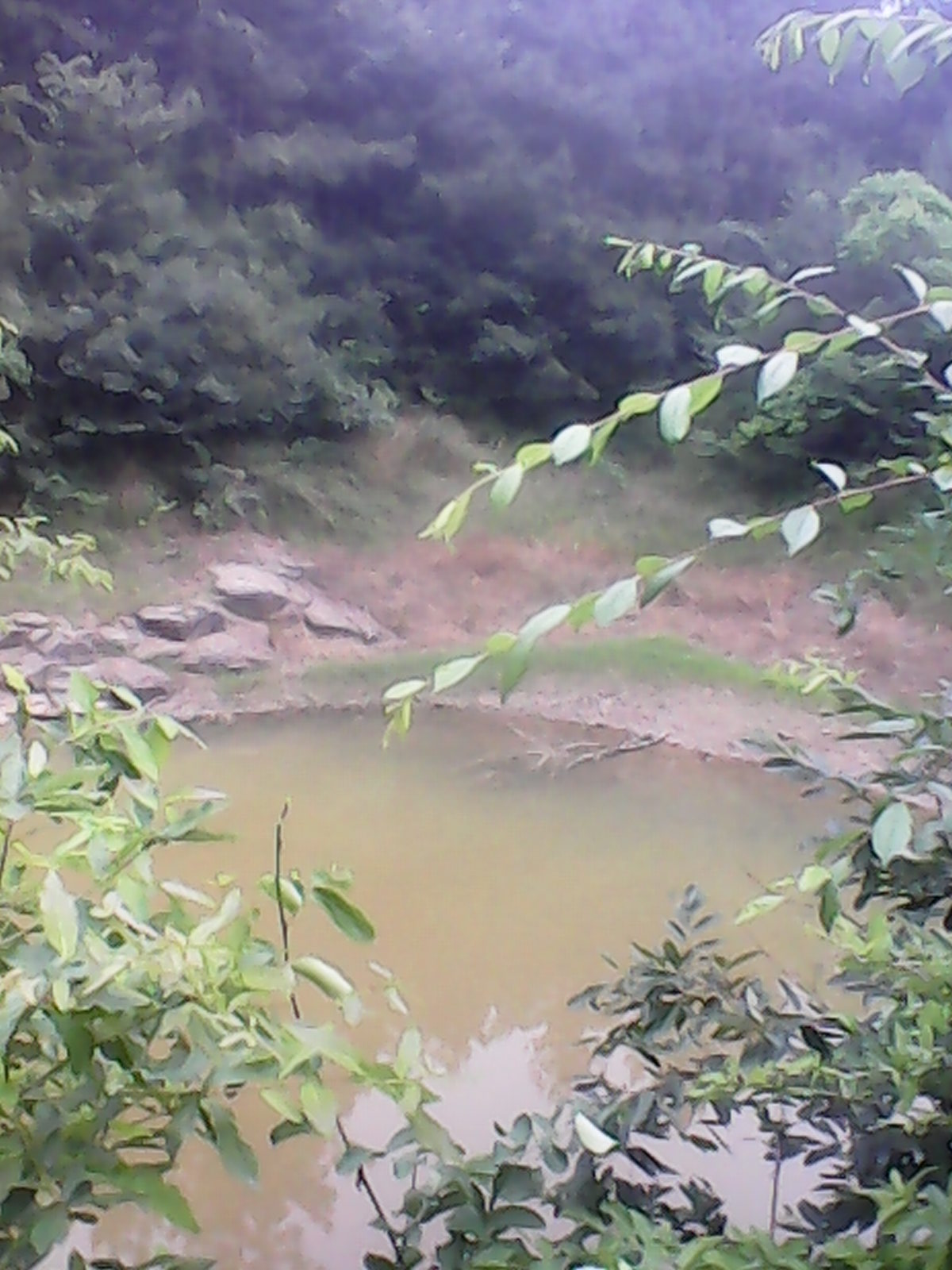 地基沉降堰塘干涸