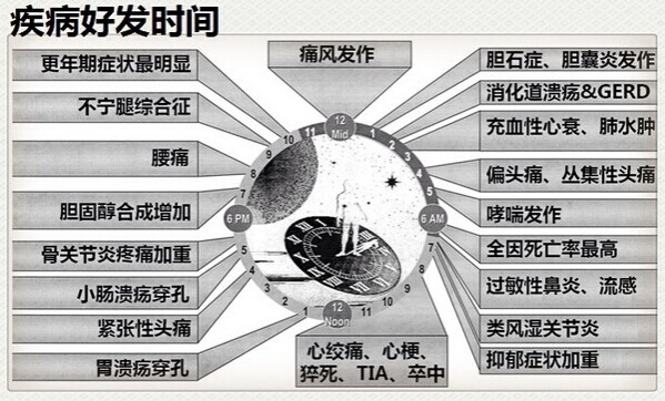 QQ图片20140615234720.jpg